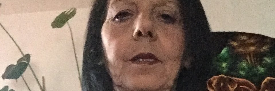 Dianeacey banner