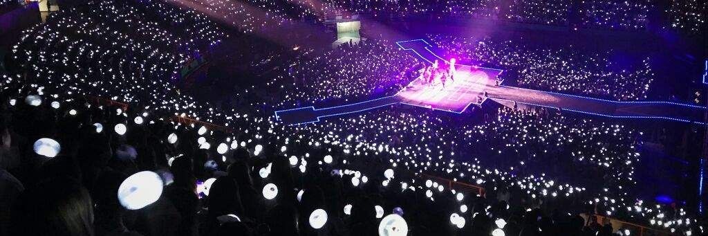 palida16030853's profile banner image