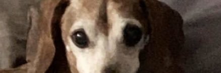 George Resister banner