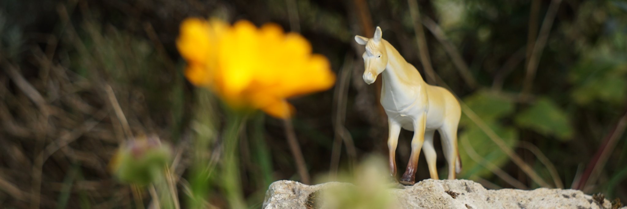 fishcotec's profile banner image