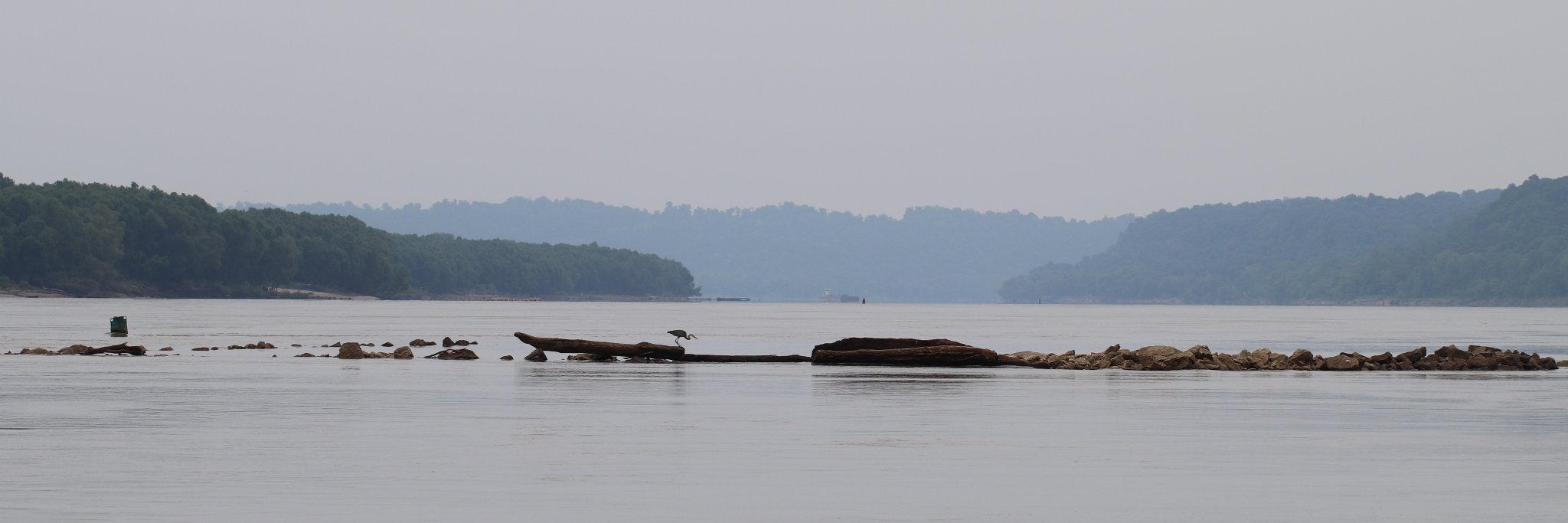 Dr. Bronwyn W. Williams banner