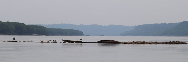 BWWilliamsLab Profile Banner