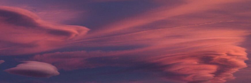peetapich's profile banner image