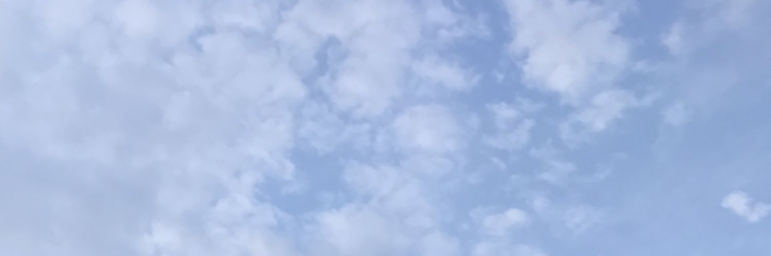 icannnnn's profile banner image