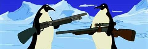 r banner