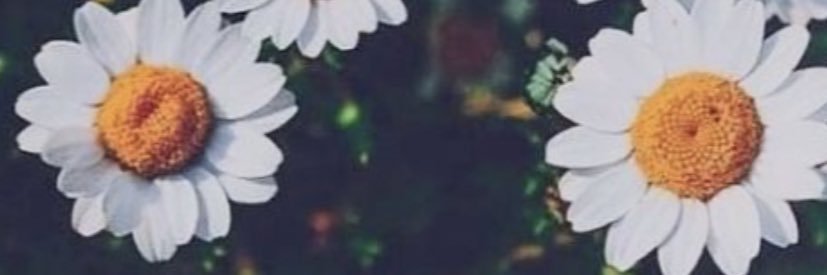 MissHynd's profile banner image