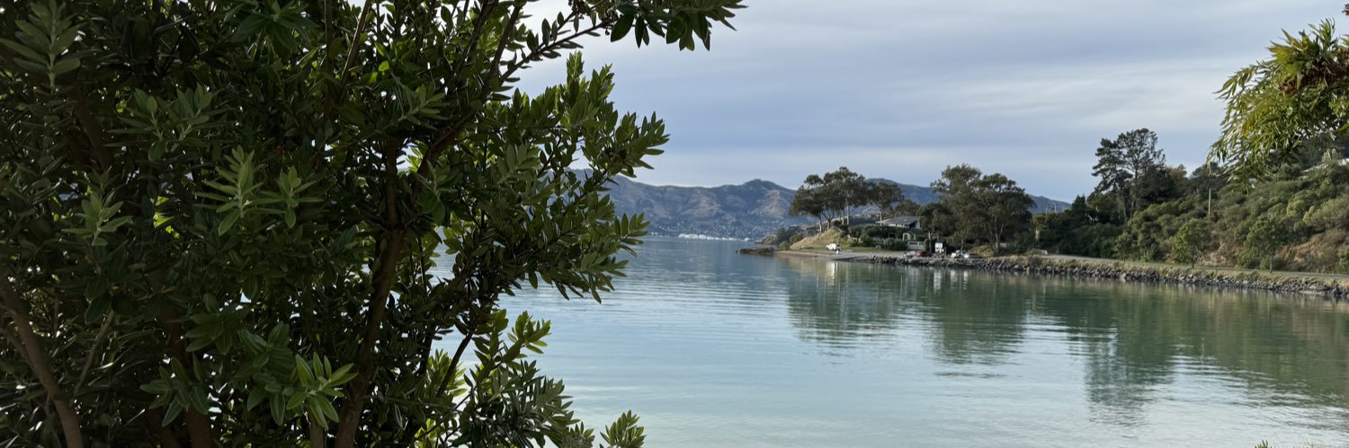 Rachel  Skelton banner