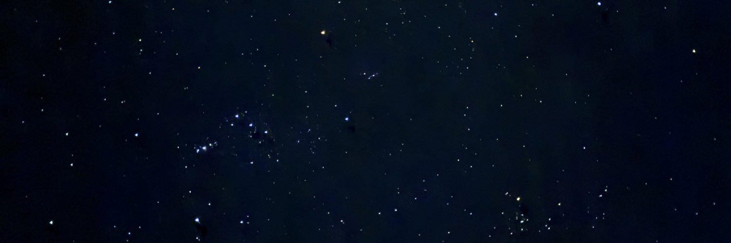 TalaAlbano's profile banner image