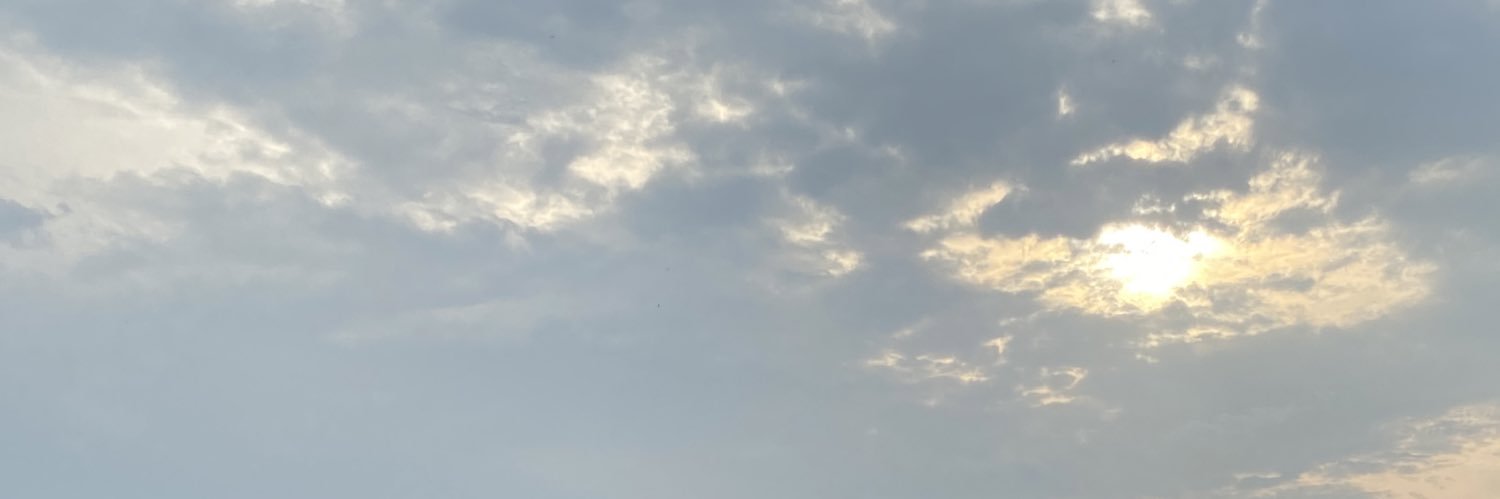 li banner