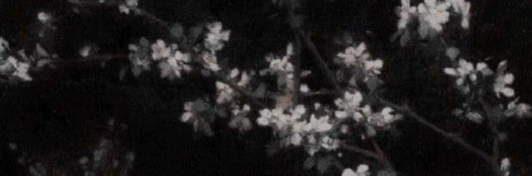 mer's banner