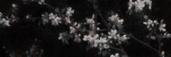 abstractcas Profile Banner