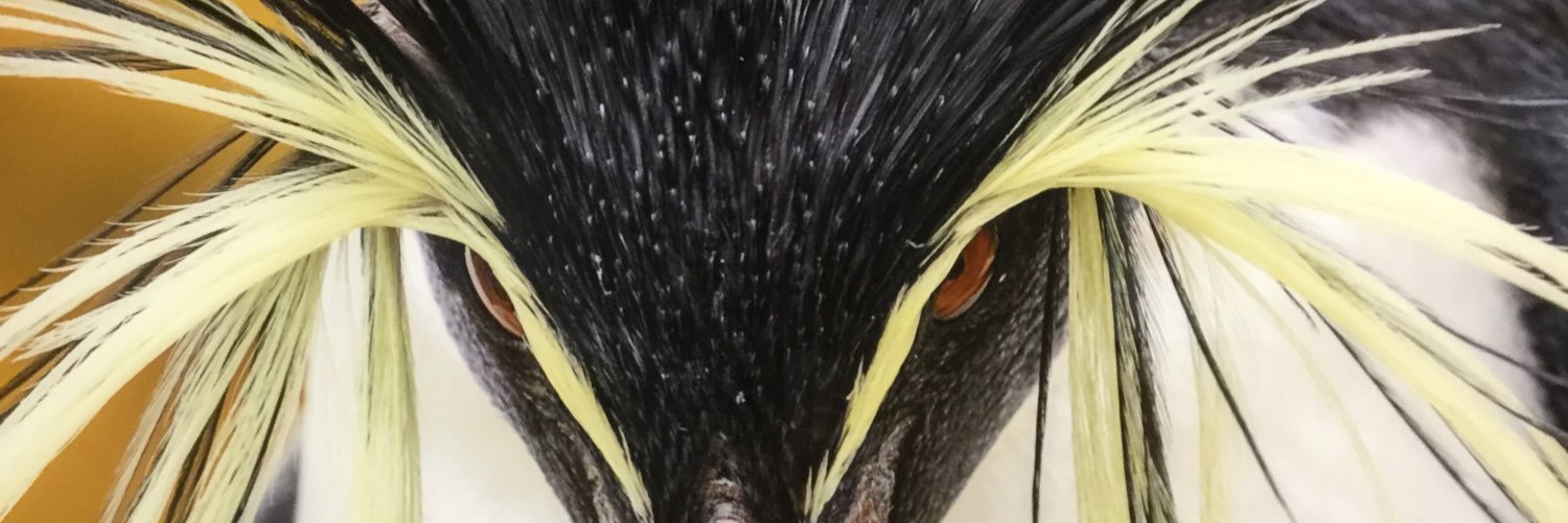 AL3T_leader's profile banner image