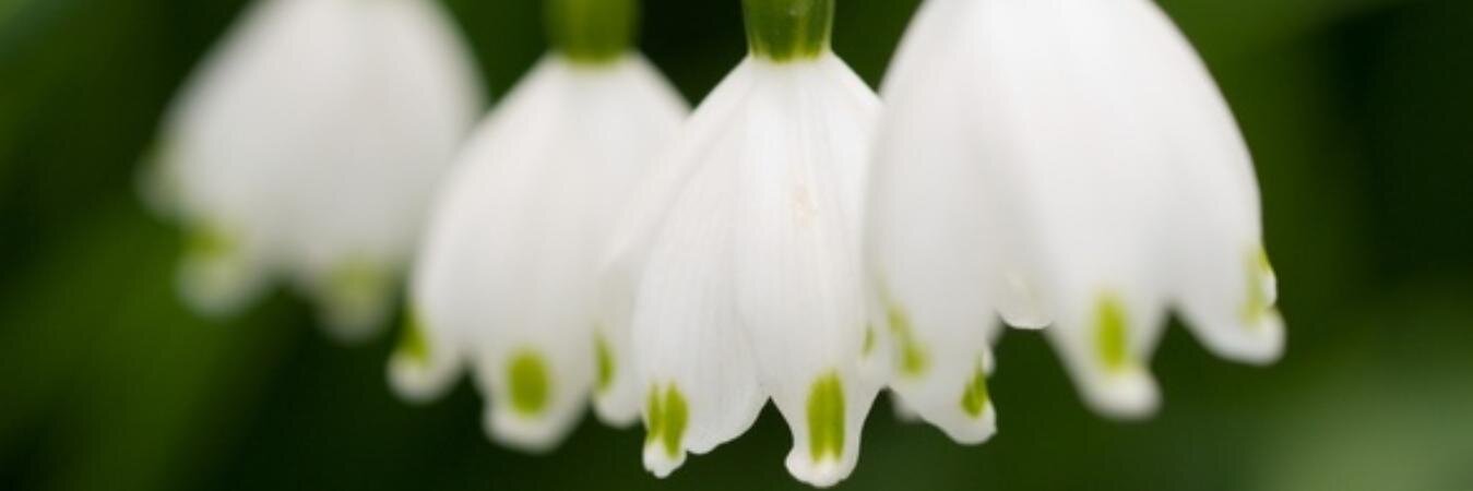 Audie_ya's profile banner image