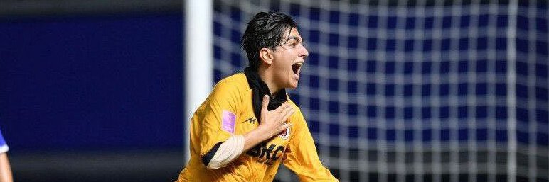 Shirley Maclaine banner