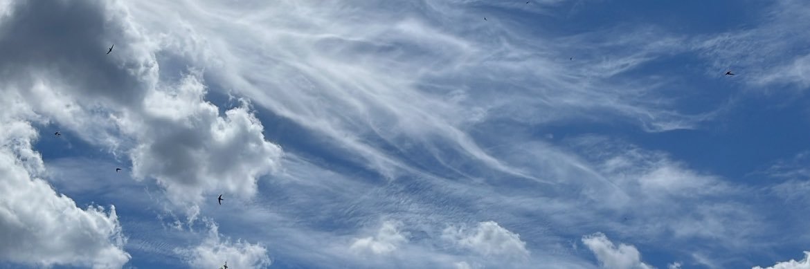 _Rawabij's profile banner image