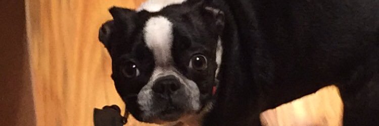 Yougatti's profile banner image