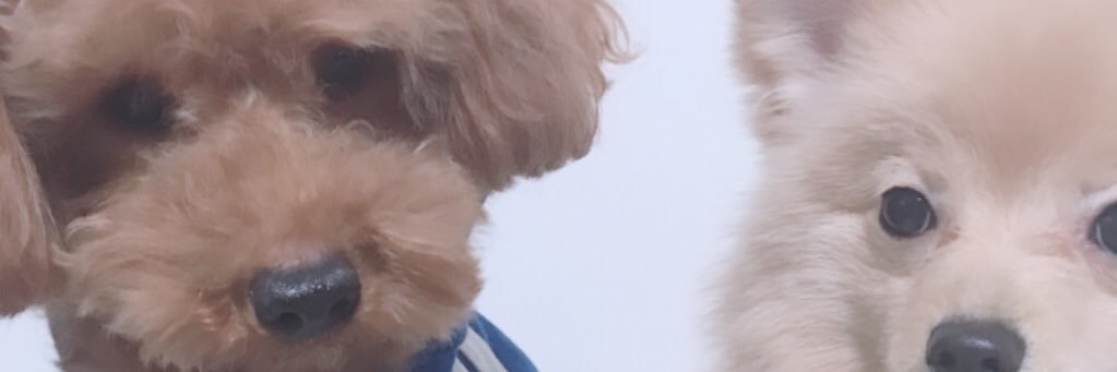 maopaka's profile banner image