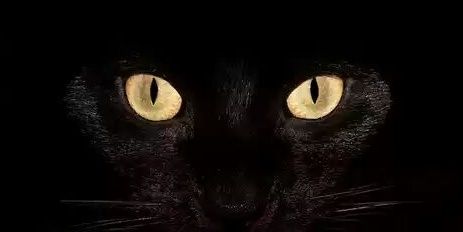 blackwidow_md's profile banner image
