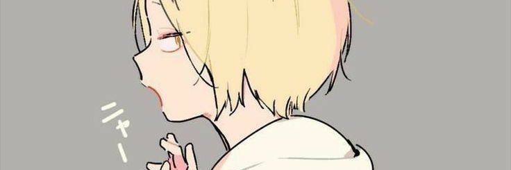 sasa | RT NO FIXADO banner