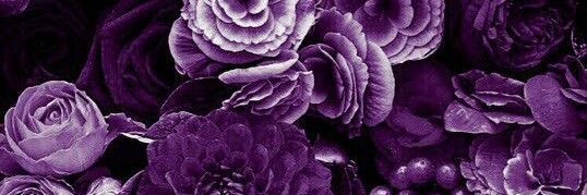 arangersfan71's profile banner image