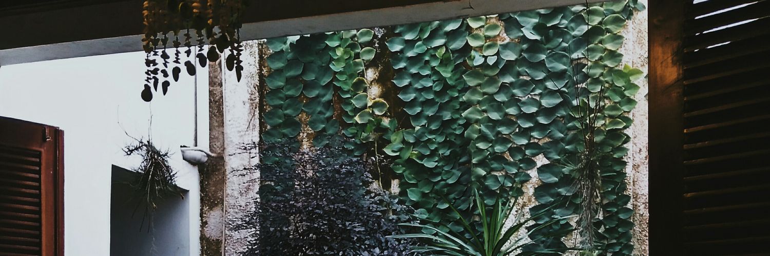 domaristito's profile banner image