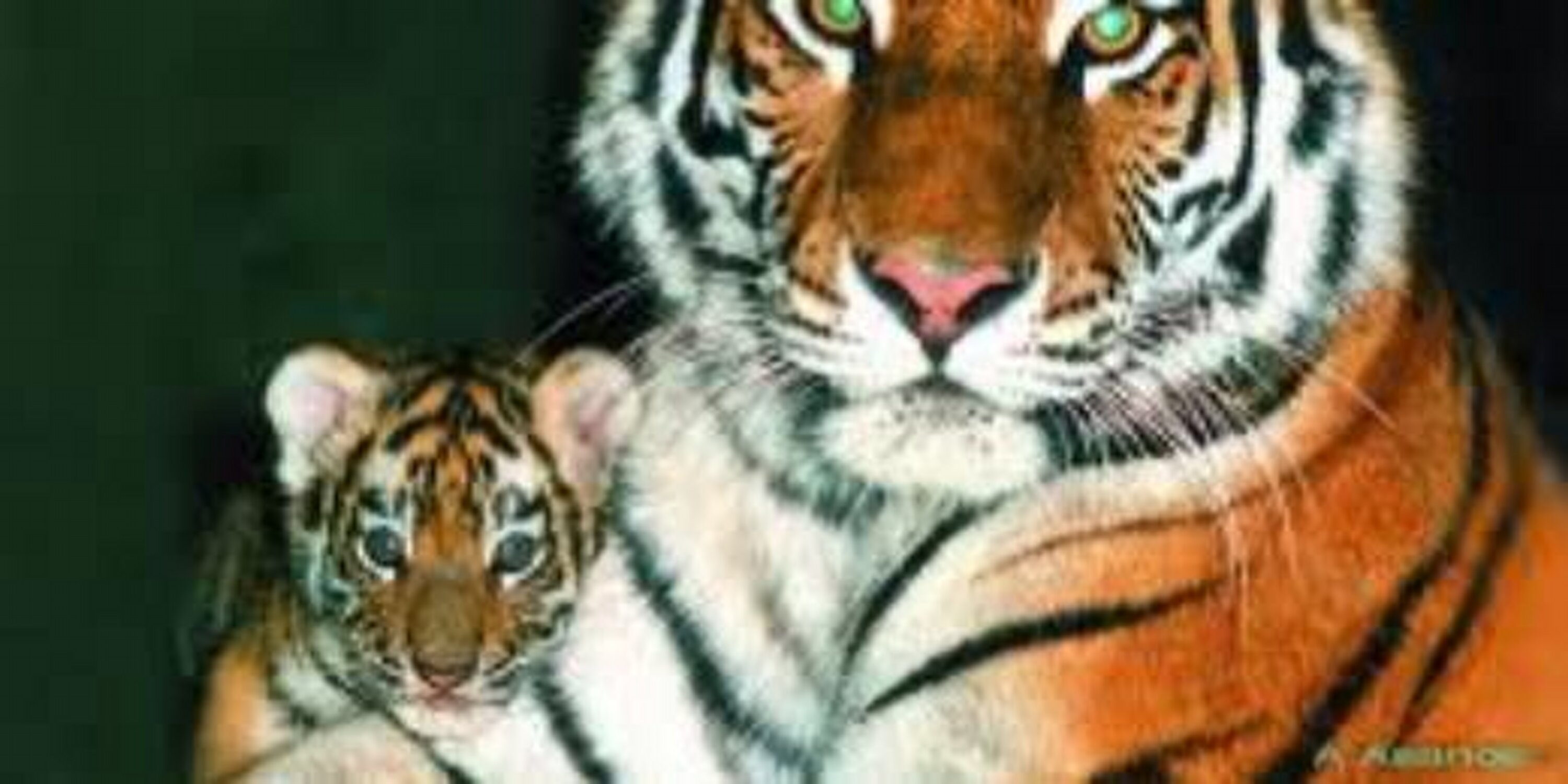 _abdkarim's profile banner image