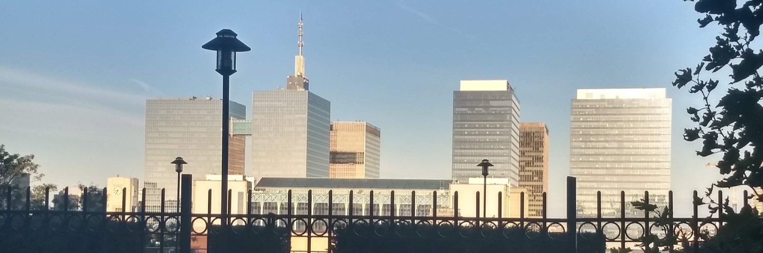 Guy De Koninck banner