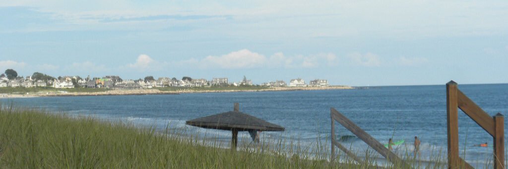 Mary Nancy Toscano banner