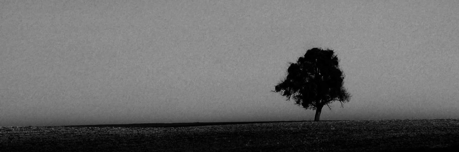 iErtra's profile banner image