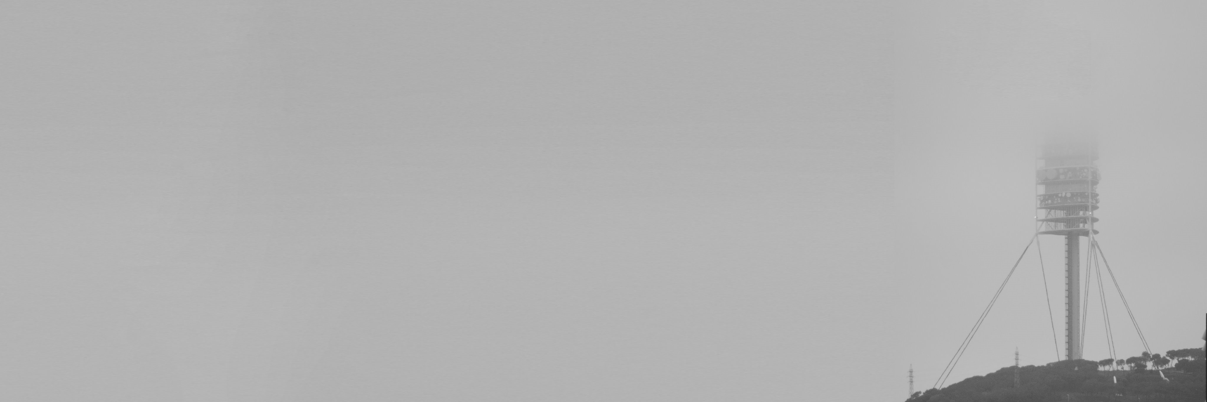 lepetitmusee's profile banner image