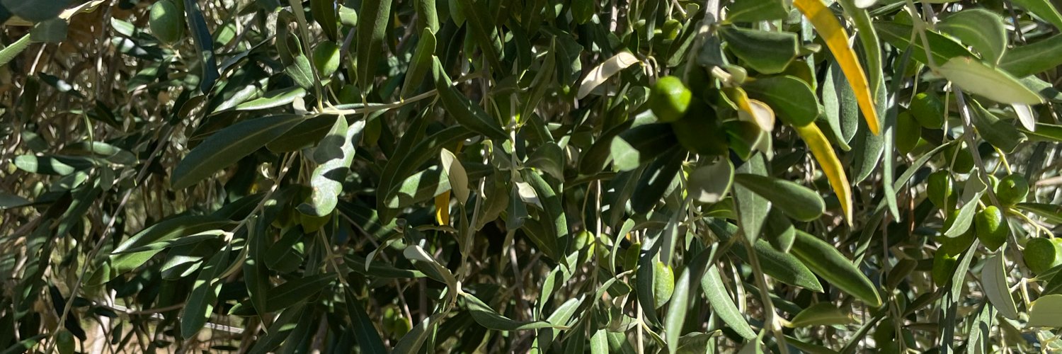 BenoitAldebert's profile banner image