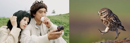 daisybeybun's profile banner image
