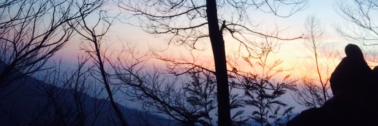 dwirchma's profile banner image