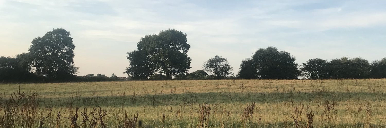 ChandlerIreland's profile banner image