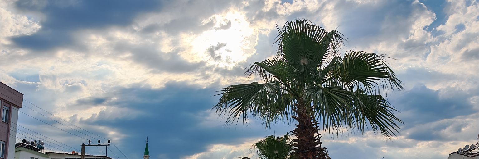 ℭ𝔞𝔭𝔡𝔞𝔦𝔫 banner