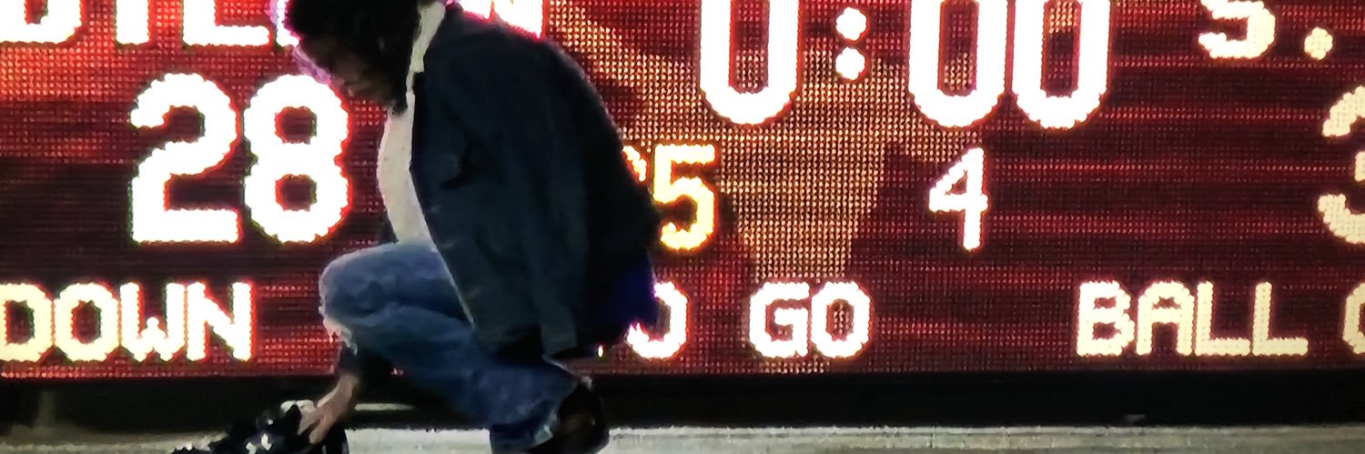 Hamilton Bones banner