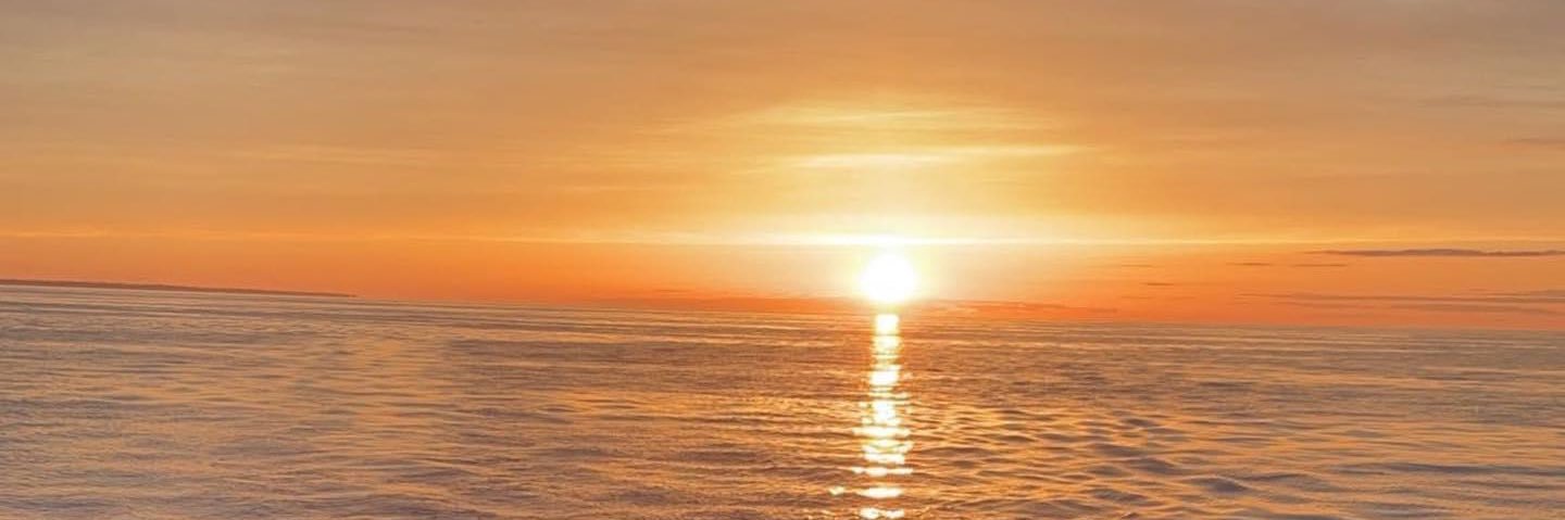 MaddyThomass's profile banner image