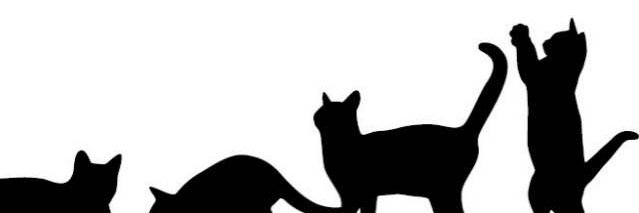 LadyLonja's profile banner image