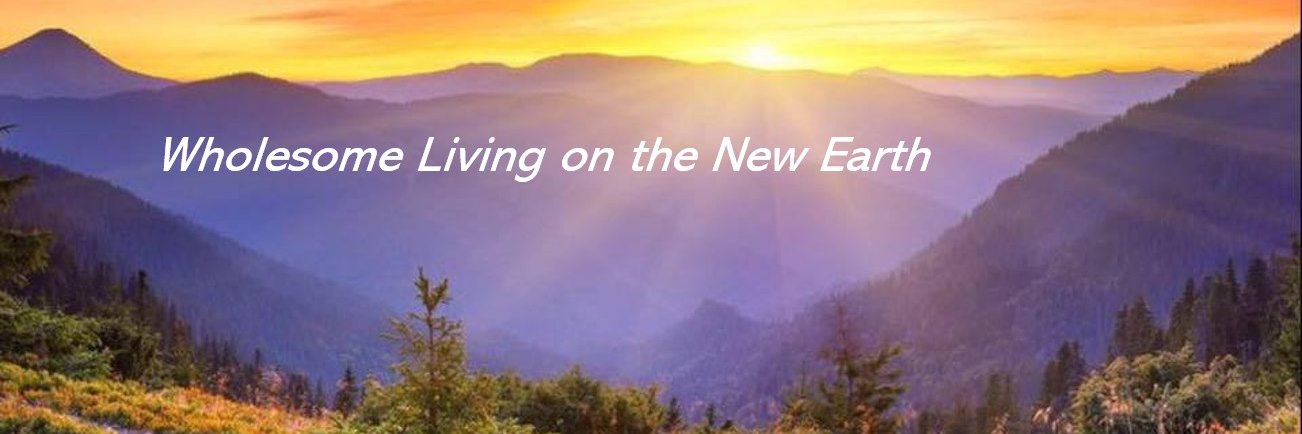 Helen Shih Holistic Vision banner
