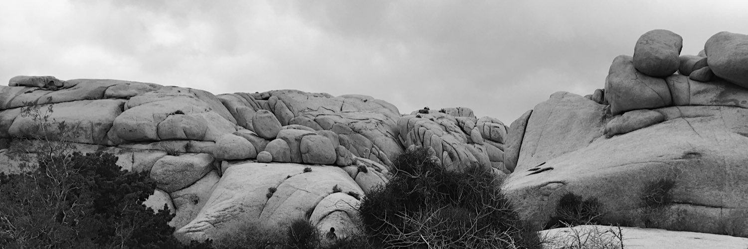 curiousmustard's profile banner image
