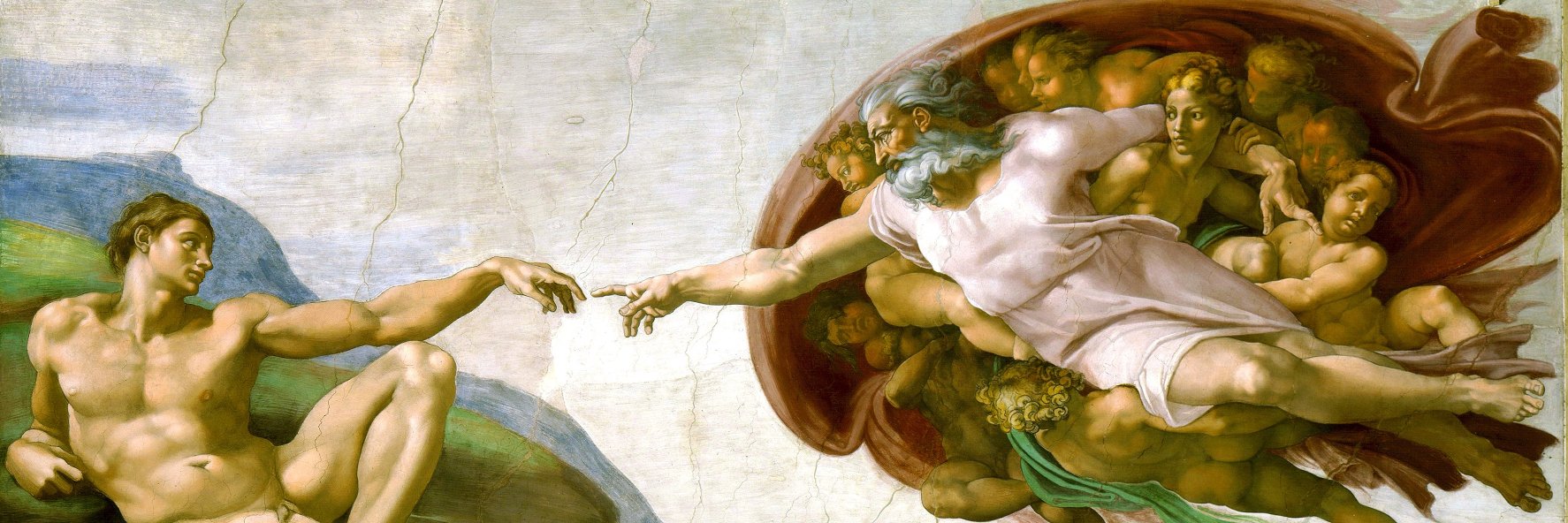 Michelangelo's banner