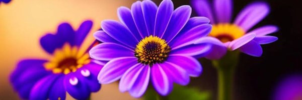 Anureet18 Profile Banner