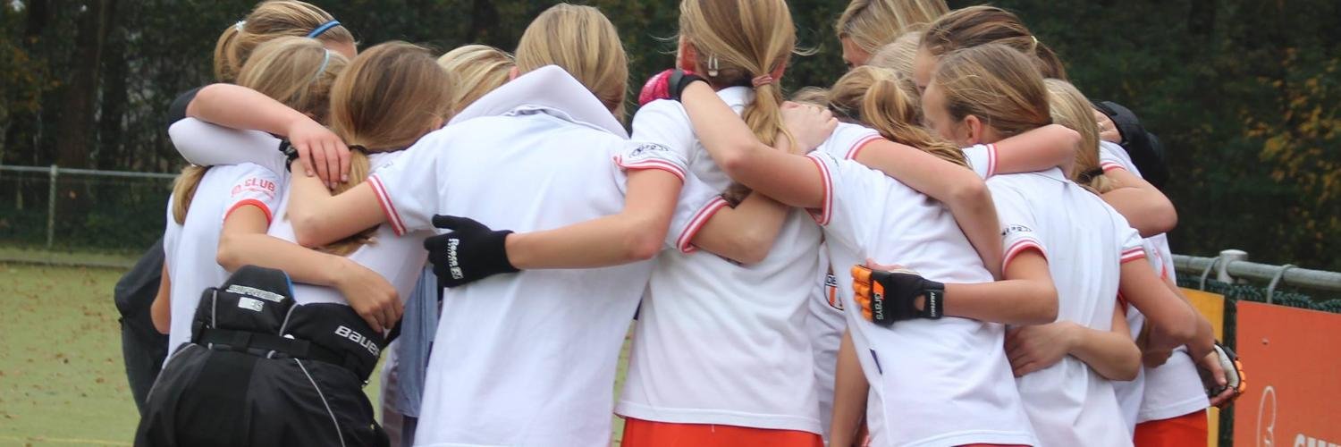 MHC DES banner