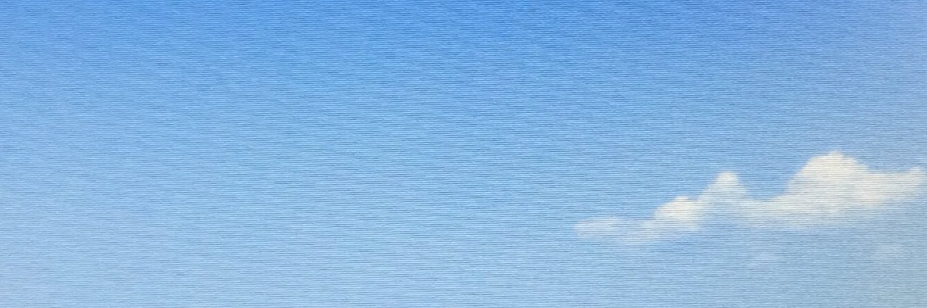 amelefb's profile banner image
