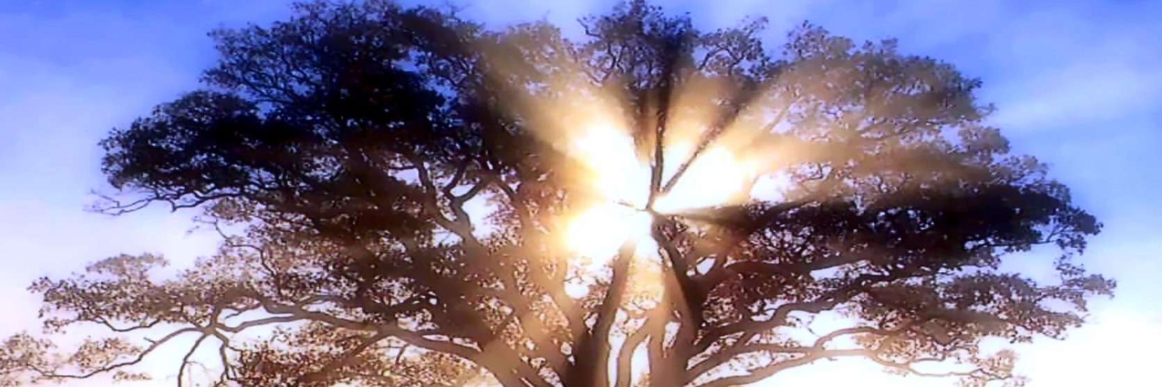 Detoxyourlives banner