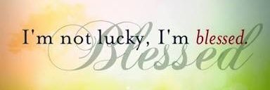 lycheecandy's profile banner image