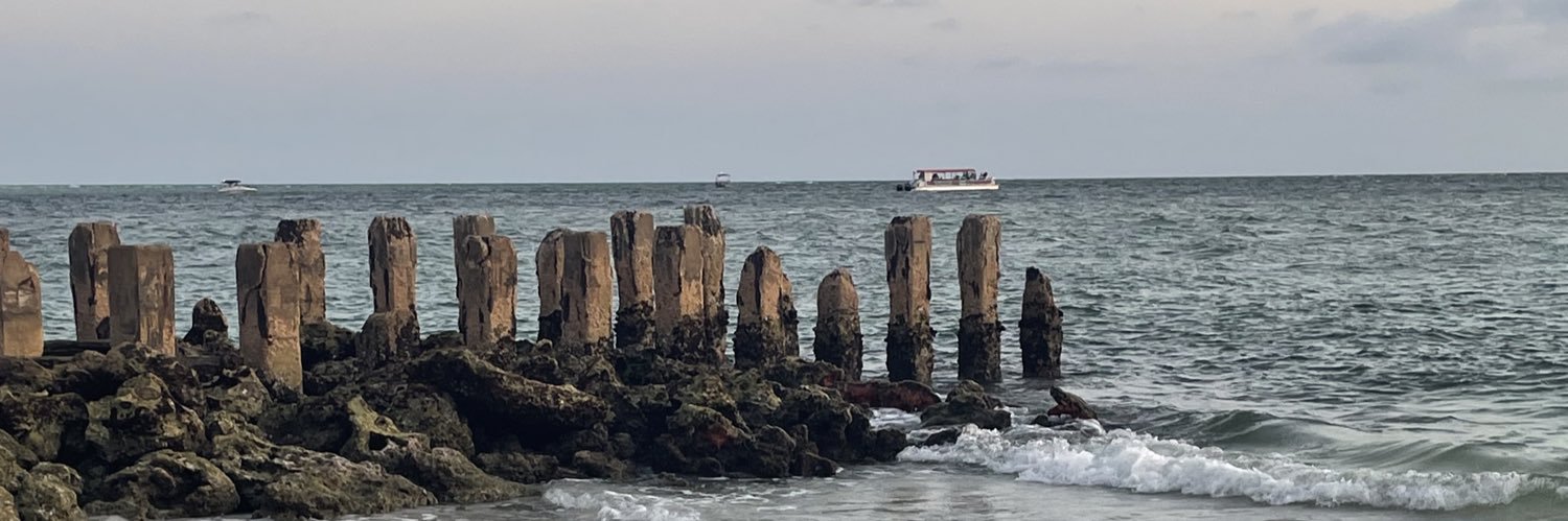 Jodie Erlewine banner