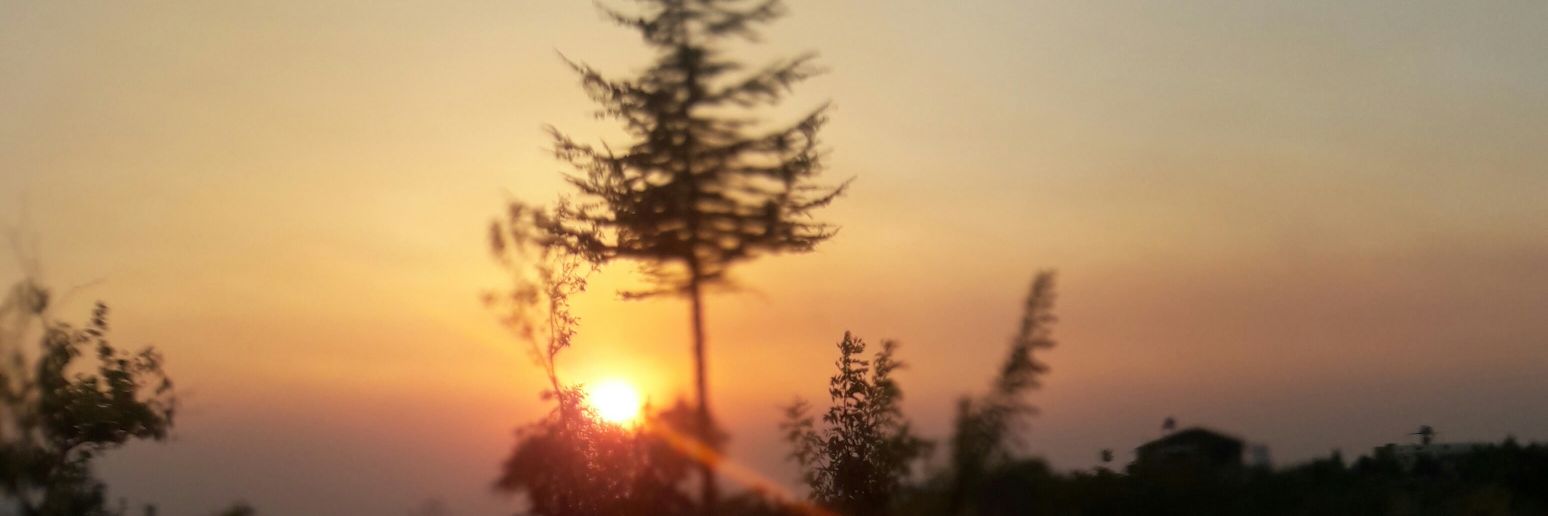 NzmGren's profile banner image