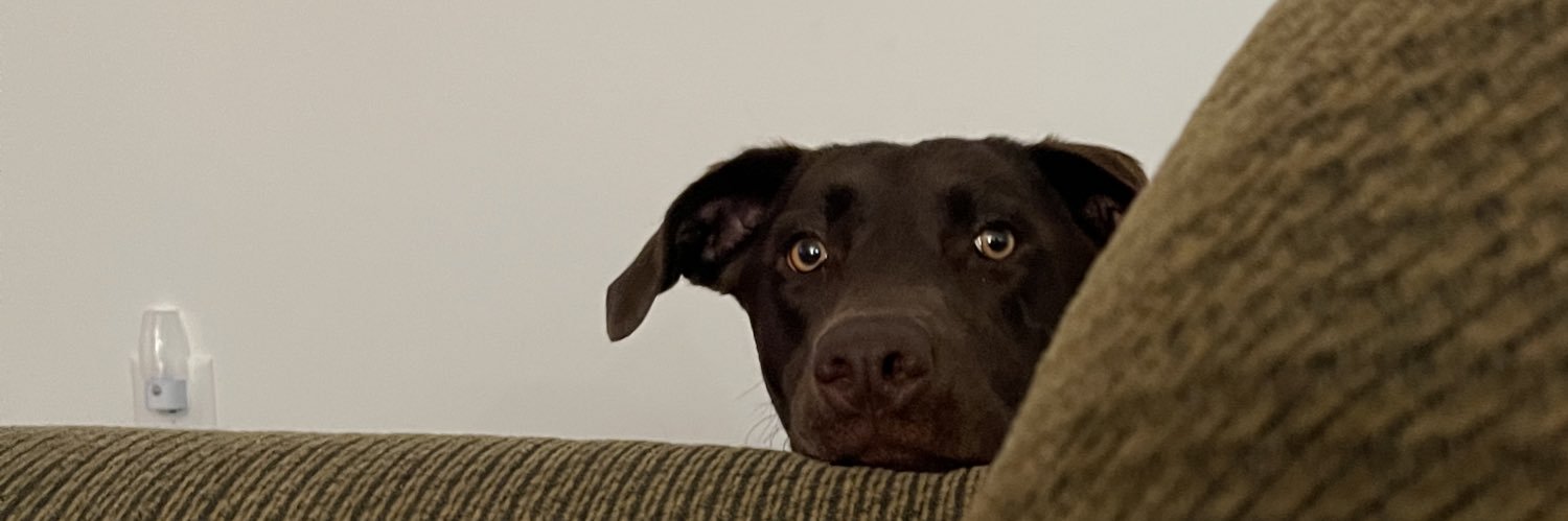 alliekatten's profile banner image