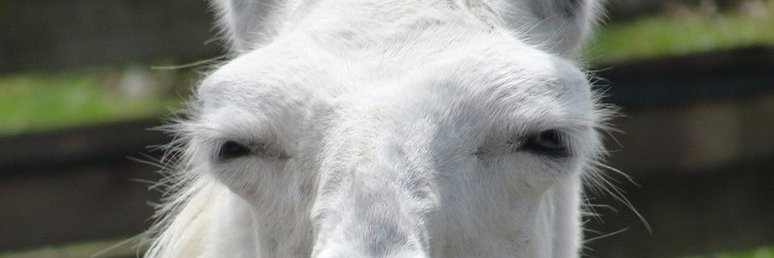 Enough Of That Now banner